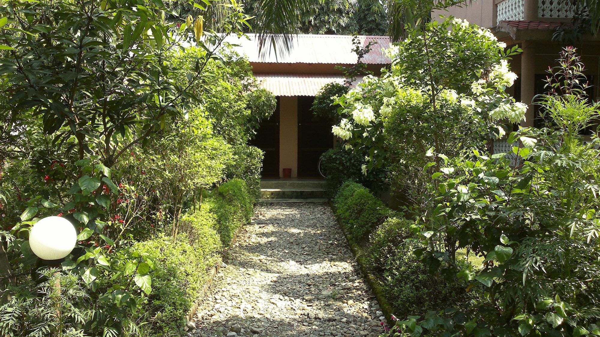 Hotel Ama Garden Sauraha Exterior foto