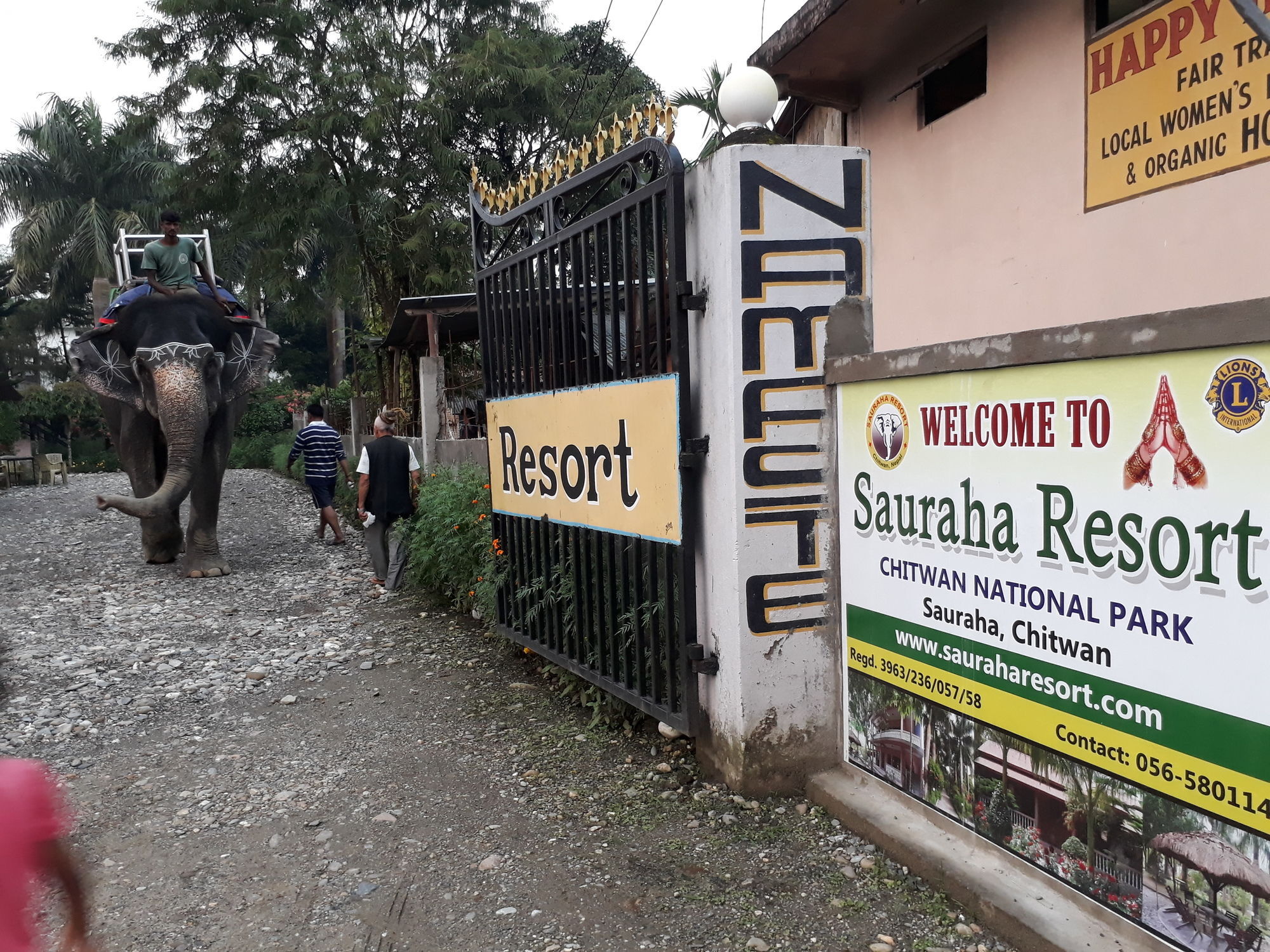 Hotel Ama Garden Sauraha Exterior foto