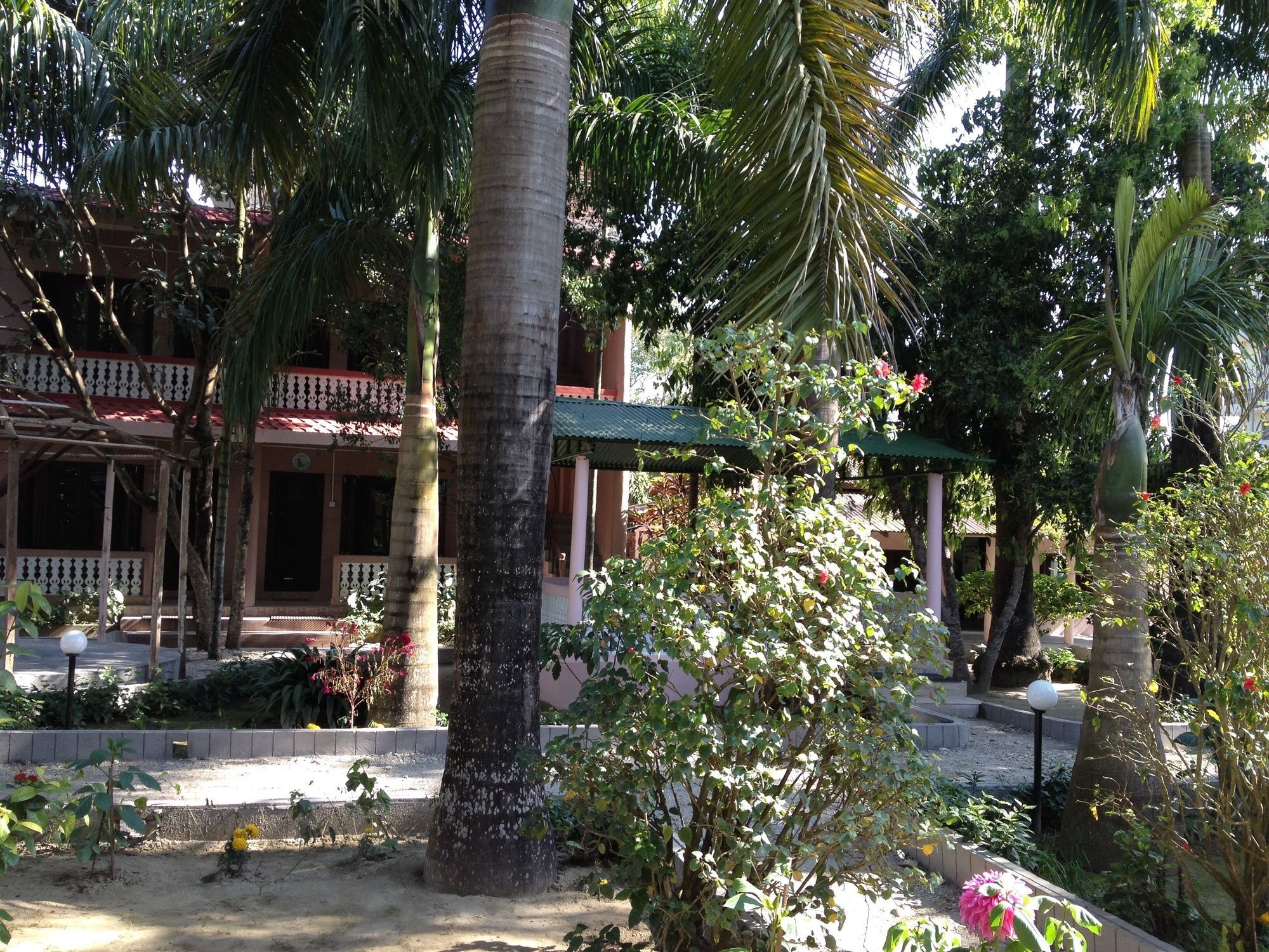Hotel Ama Garden Sauraha Exterior foto