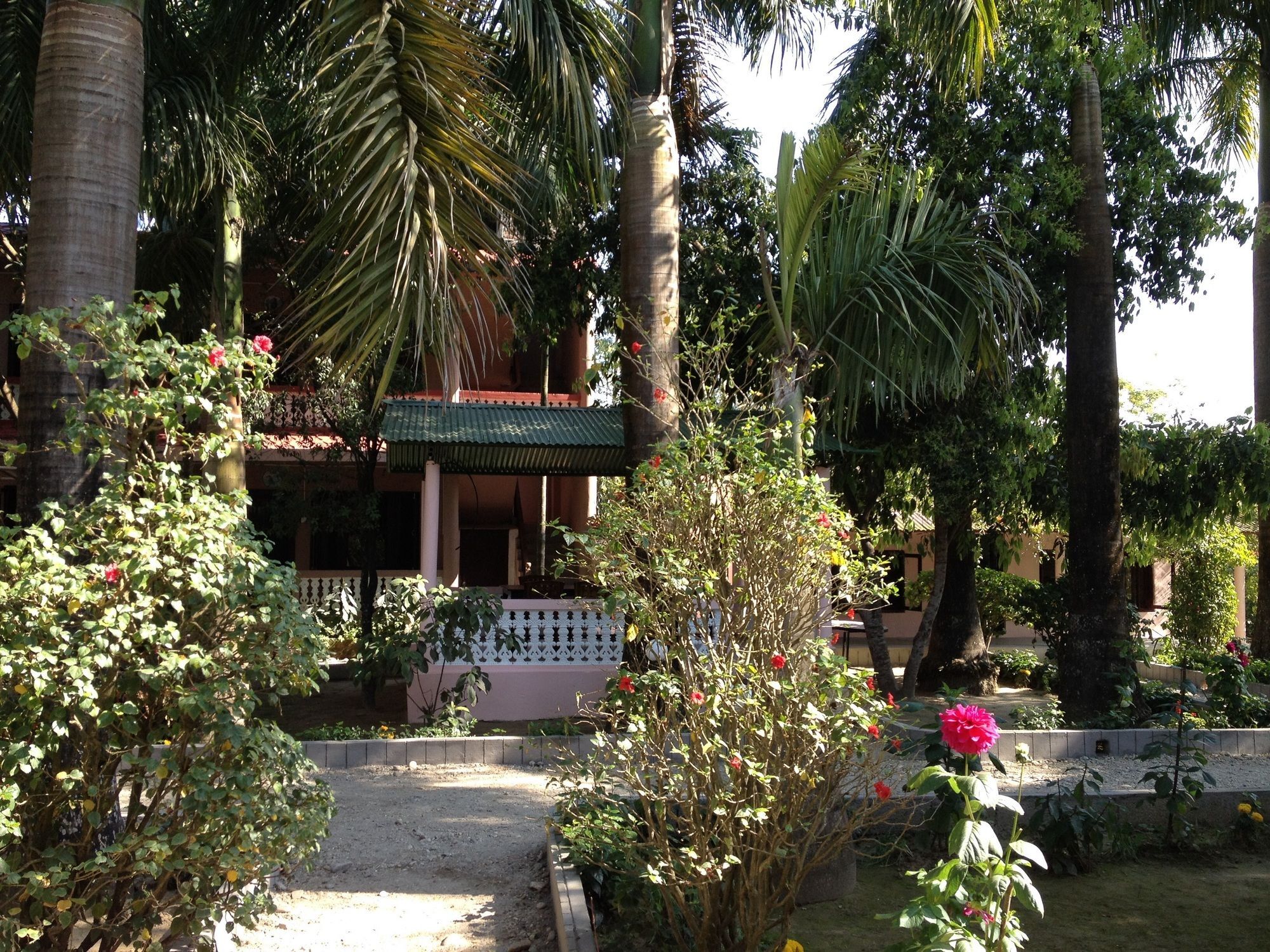Hotel Ama Garden Sauraha Exterior foto